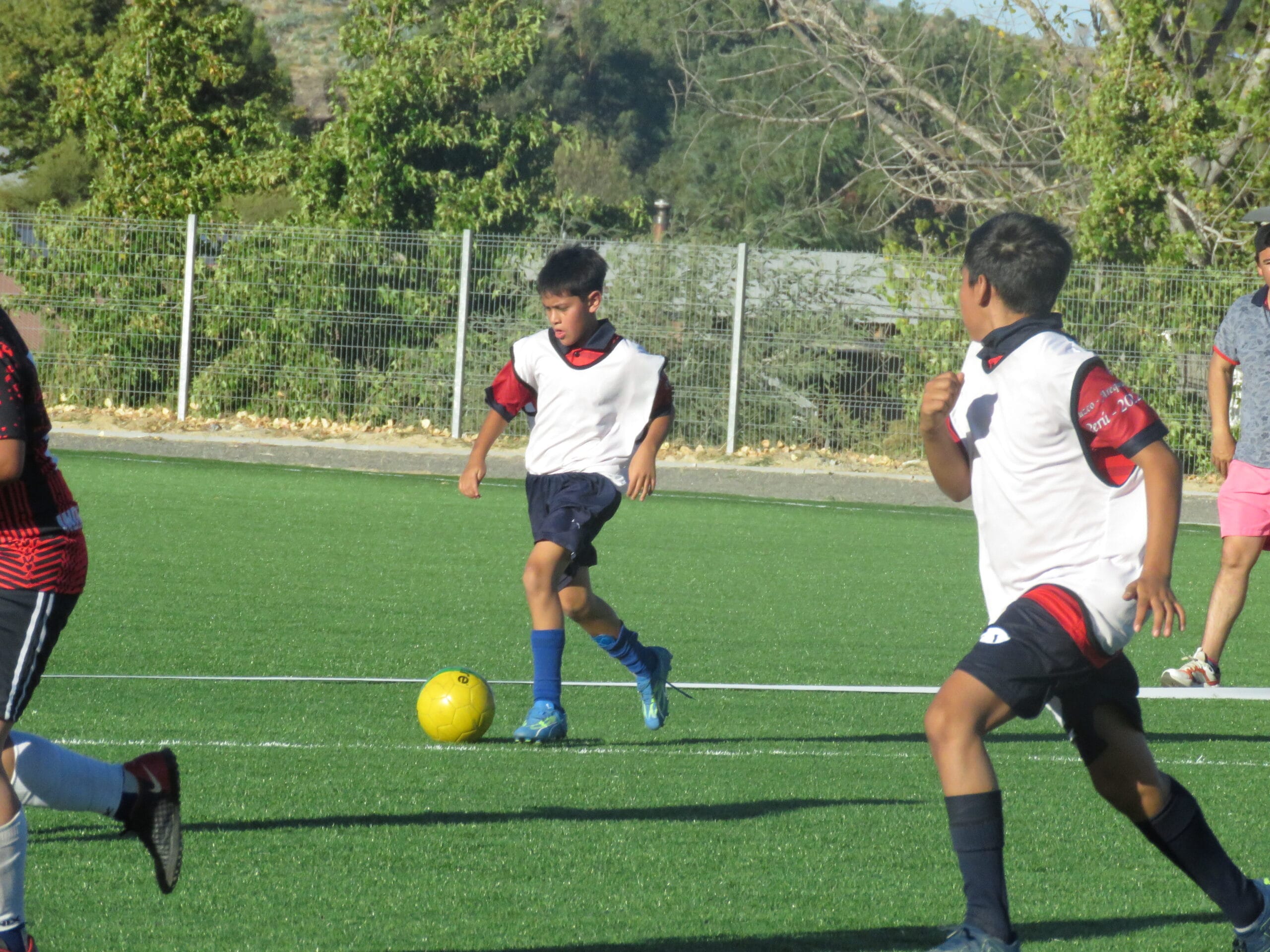 Lucha y triunfo en Ninhue